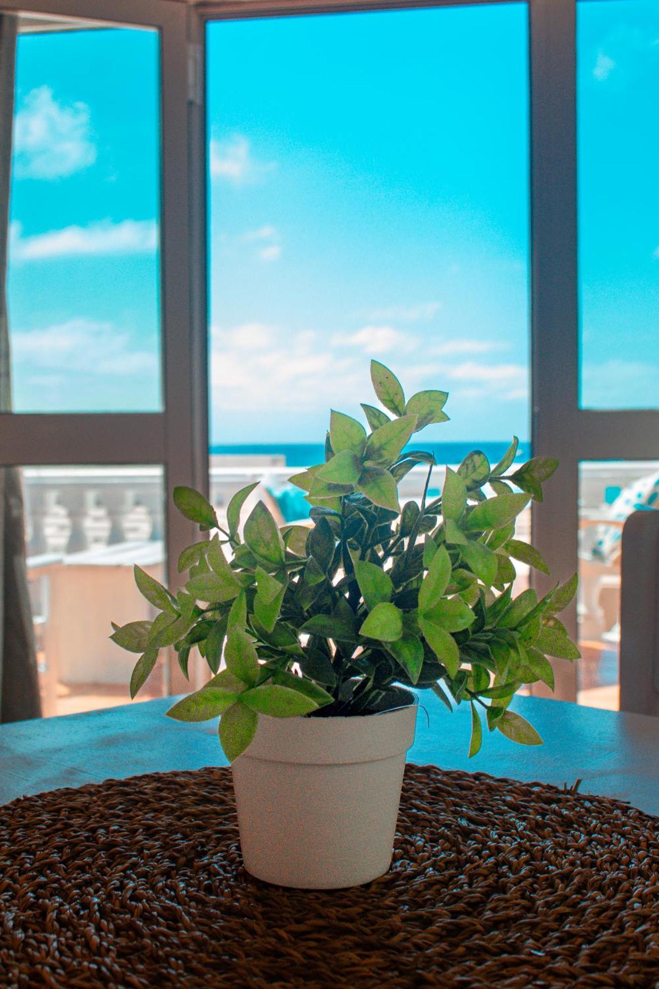 Vista Mar - Seafront Holiday Apartments 산타 마리아 외부 사진